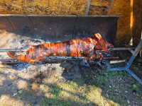 /album/fotogalerie/64746-jpg/